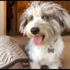 Meet your Posher, Ella